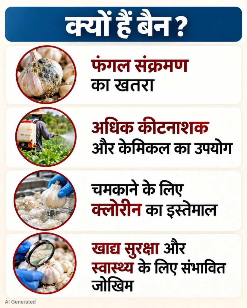 बिहार में संदिग्ध चाइनीज लहसुन की बरामदगी, सेहत के लिए है खतरनाक